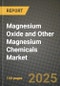 2025 Magnesium Oxide and Other Magnesium Chemicals Market Outlook Report: Industry Size, Market Shares Data, Insights, Growth Trends, Opportunities, Competition 2024 to 2032 - Product Image