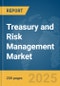 Treasury and Risk Management Market Report 2025 - Product Thumbnail Image