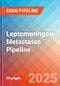 Leptomeningeal Metastases - Pipeline Insight, 2025 - Product Thumbnail Image