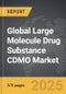 Large Molecule Drug Substance CDMO - Global Strategic Business Report - Product Image