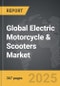 Electric Motorcycle & Scooters - Global Strategic Business Report - Product Thumbnail Image