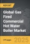 Gas Fired Commercial Hot Water Boiler - Global Strategic Business Report - Product Thumbnail Image