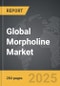 Morpholine - Global Strategic Business Report - Product Thumbnail Image