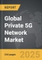 Private 5G Network - Global Strategic Business Report - Product Thumbnail Image