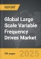Large Scale Variable Frequency Drives - Global Strategic Business Report - Product Image