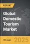 Domestic Tourism - Global Strategic Business Report - Product Image