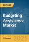 Budgeting Assistance Market Report 2025 - Product Thumbnail Image