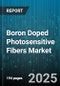Boron Doped Photosensitive Fibers Market - Global Forecast to 2030 - Product Thumbnail Image